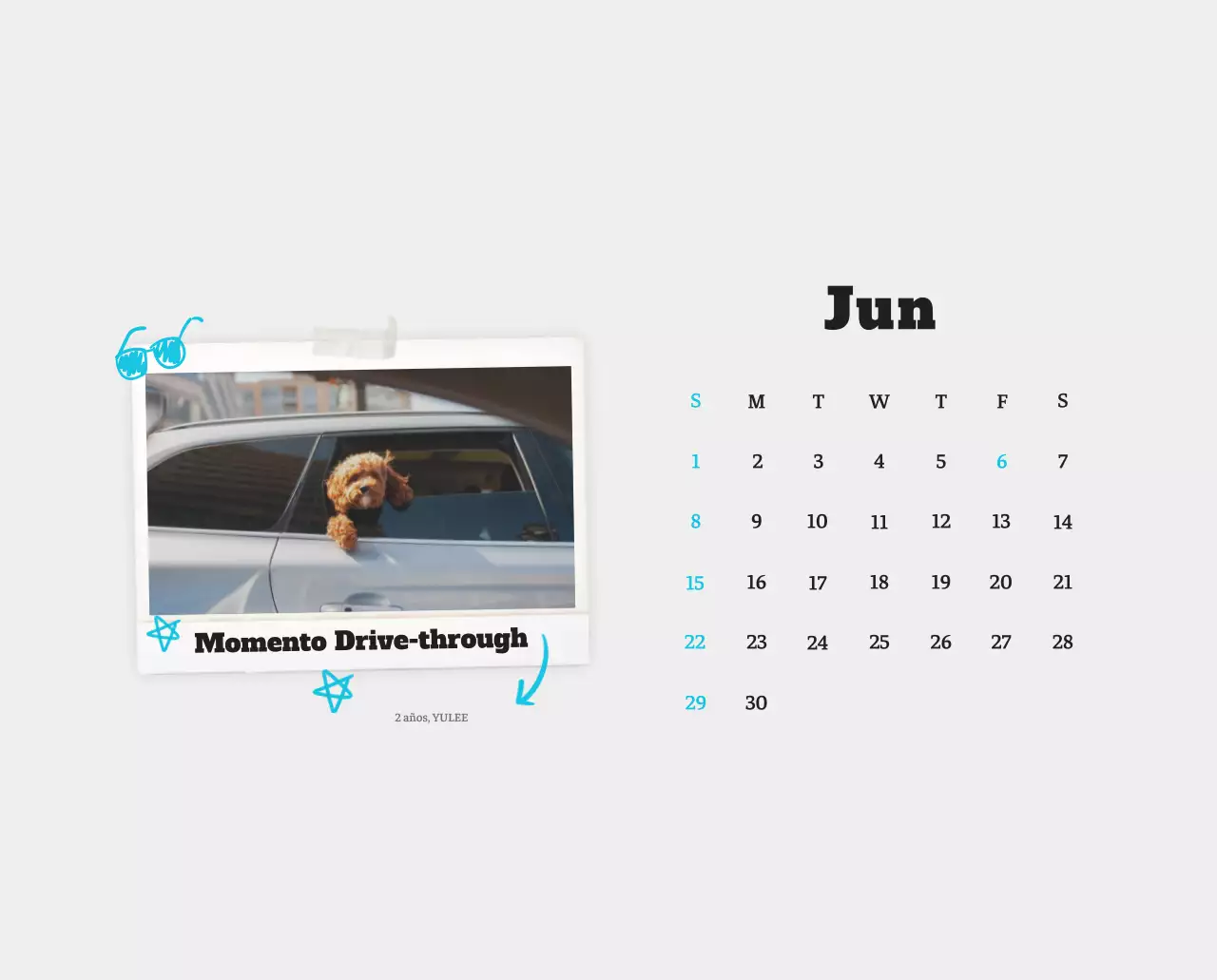 Ballet Blanco Neat Animal Foto Calendario