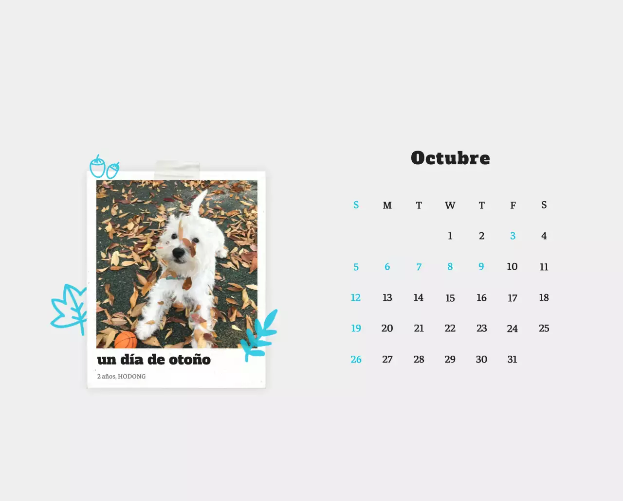 Ballet Blanco Neat Animal Foto Calendario