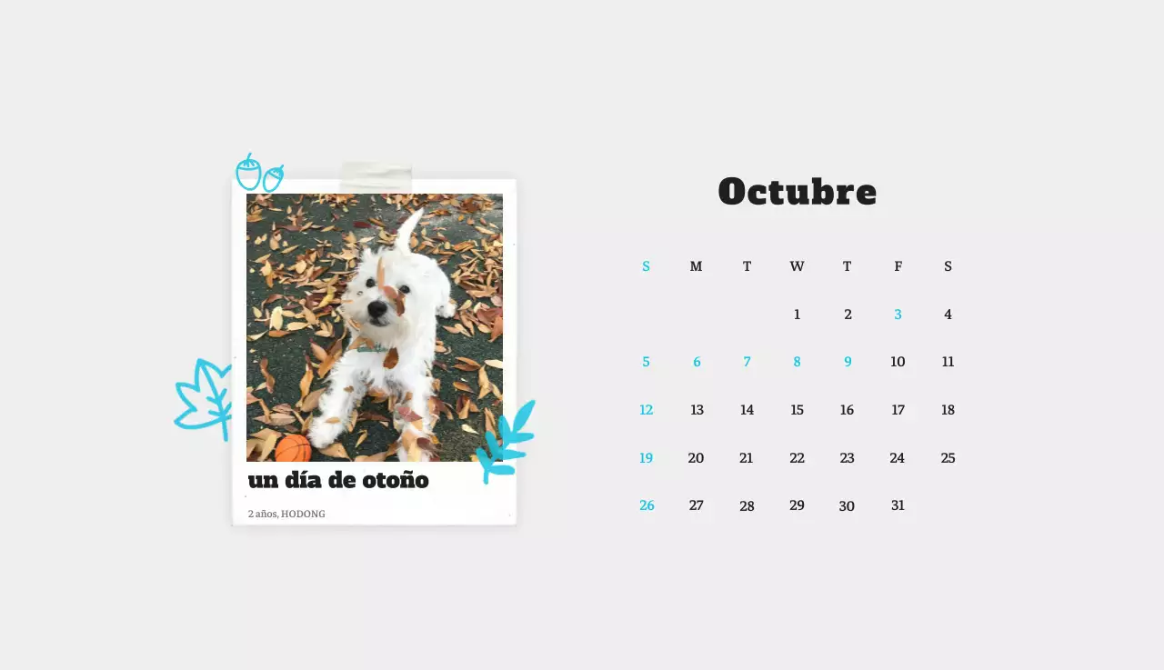Ballet Blanco Neat Animal Foto Calendario