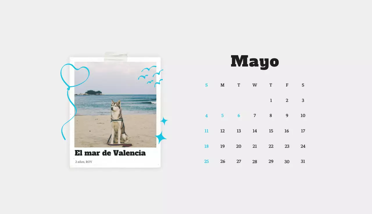 Ballet Blanco Neat Animal Foto Calendario