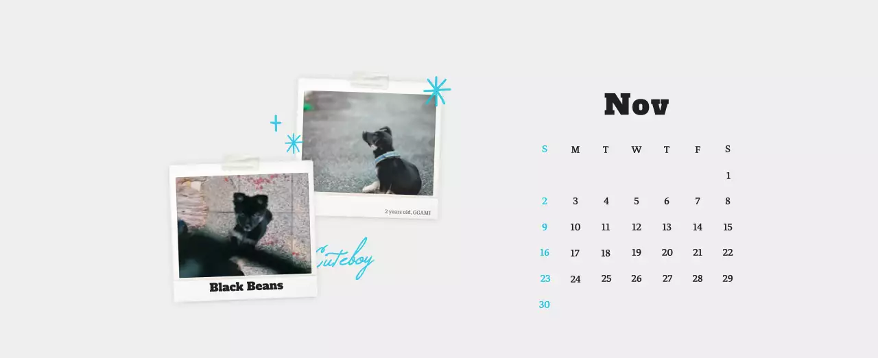 White neat pet photo calendar