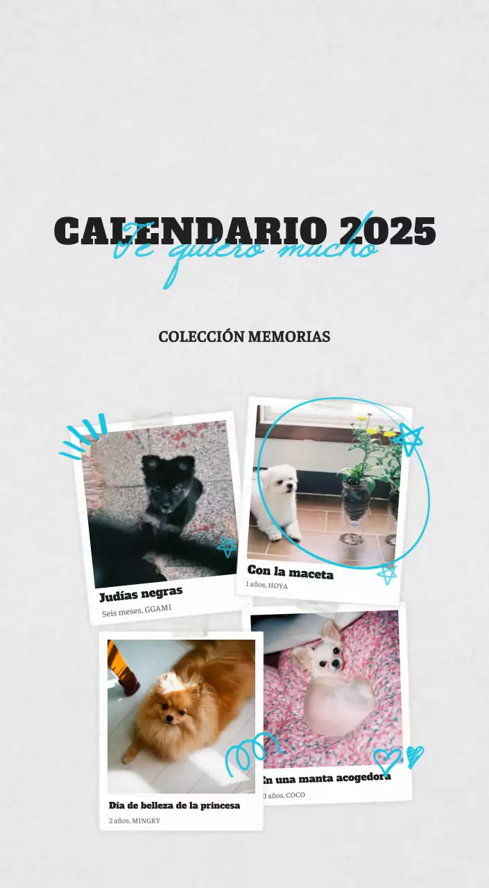 Ballet Blanco Neat Animal Foto Calendario