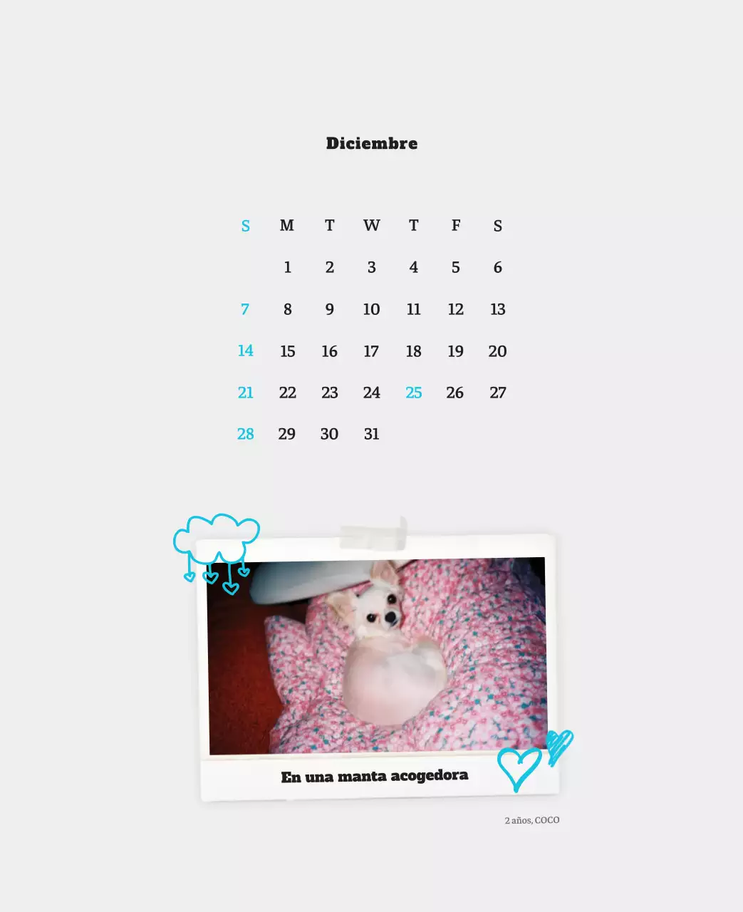 Ballet Blanco Neat Animal Foto Calendario