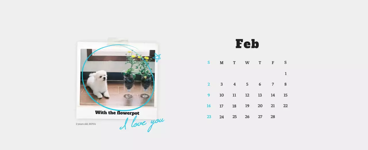 White neat pet photo calendar