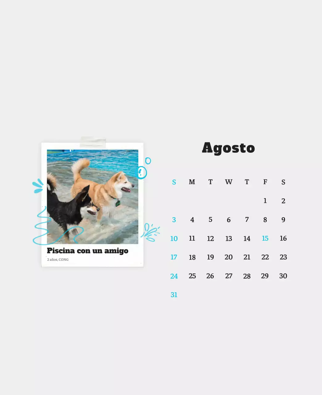 Ballet Blanco Neat Animal Foto Calendario