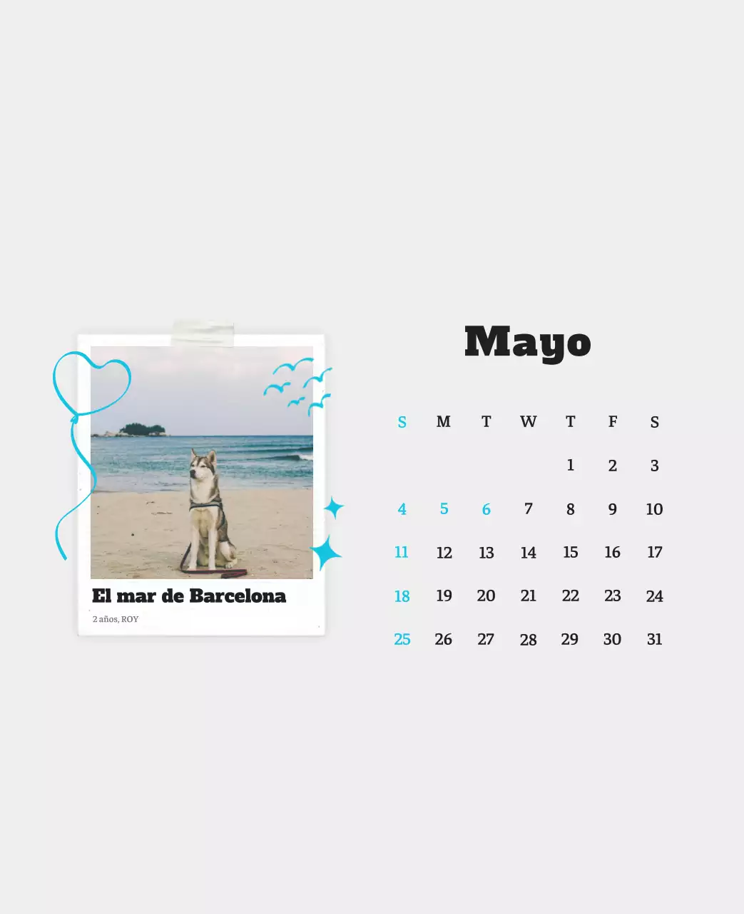 Ballet Blanco Neat Animal Foto Calendario
