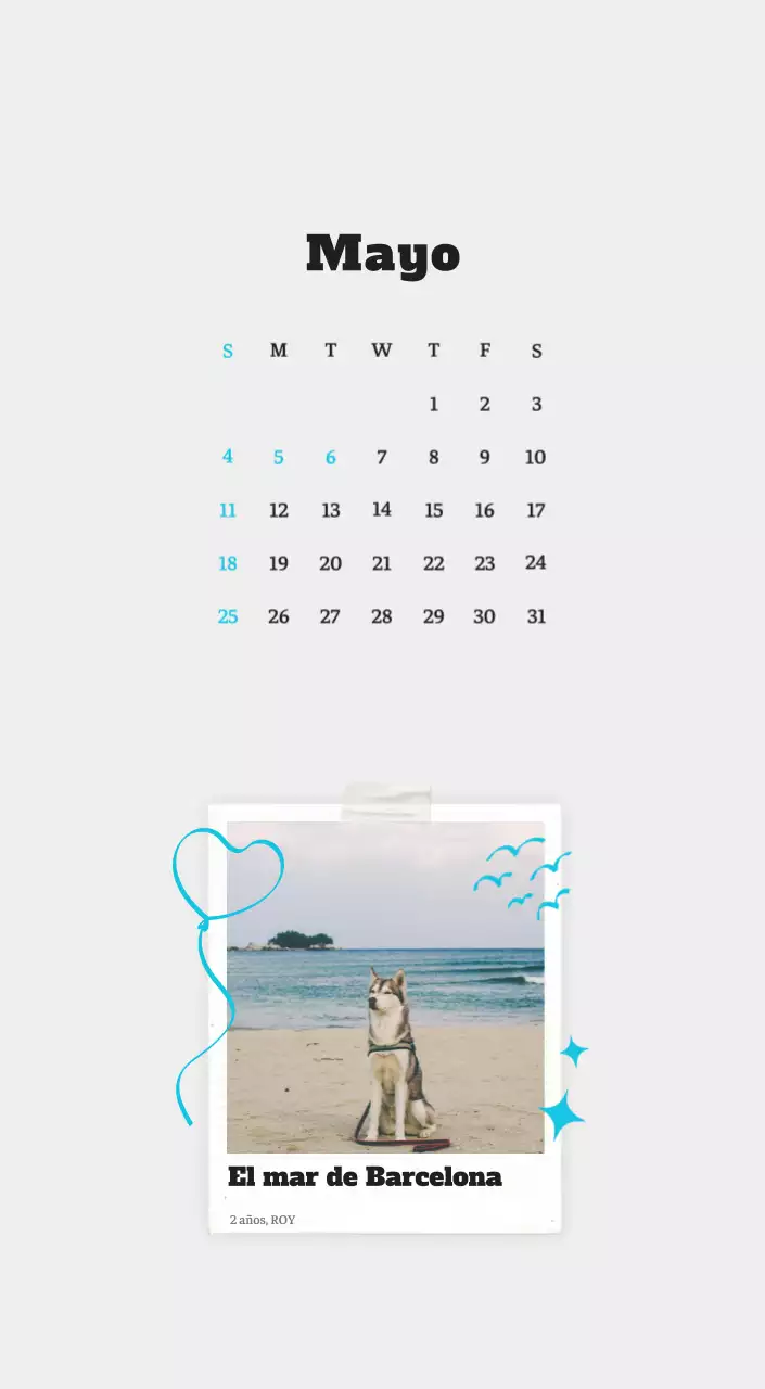 Ballet Blanco Neat Animal Foto Calendario