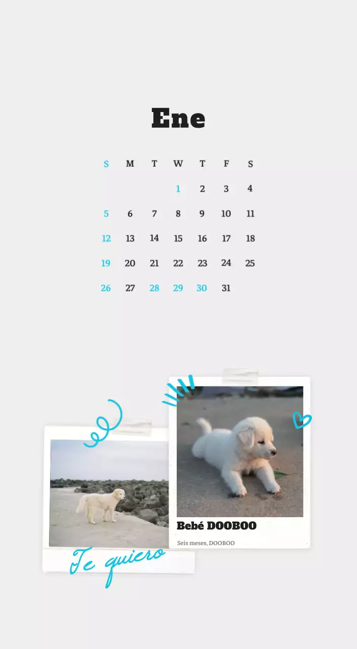 Ballet Blanco Neat Animal Foto Calendario