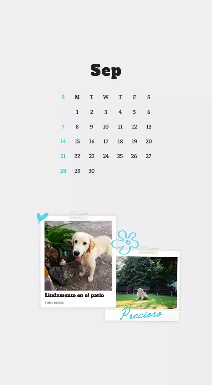 Ballet Blanco Neat Animal Foto Calendario