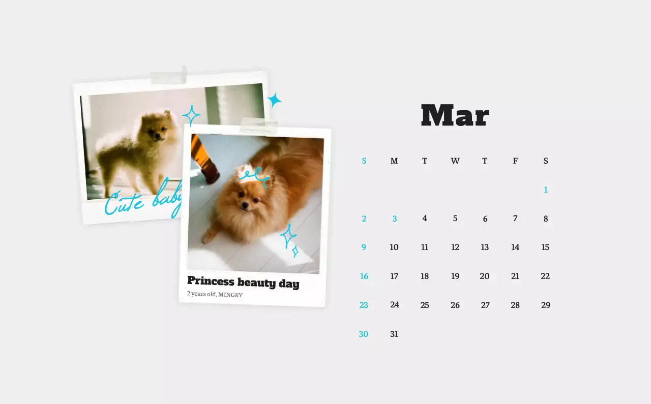 Kalender Foto Binatang Balet Putih Rapi