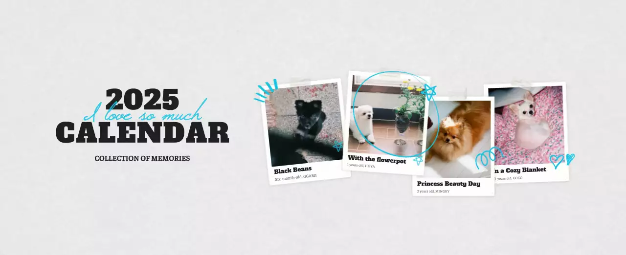 White neat pet photo calendar