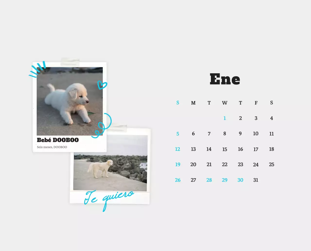 Ballet Blanco Neat Animal Foto Calendario