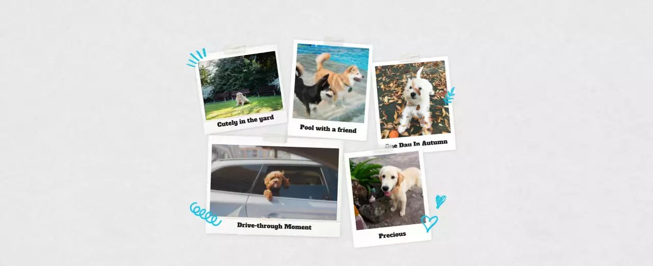 White neat pet photo calendar