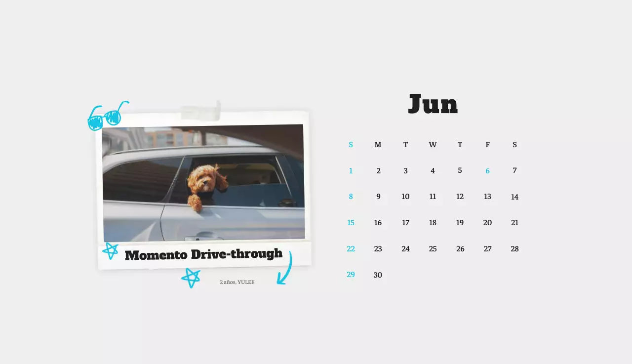 Ballet Blanco Neat Animal Foto Calendario