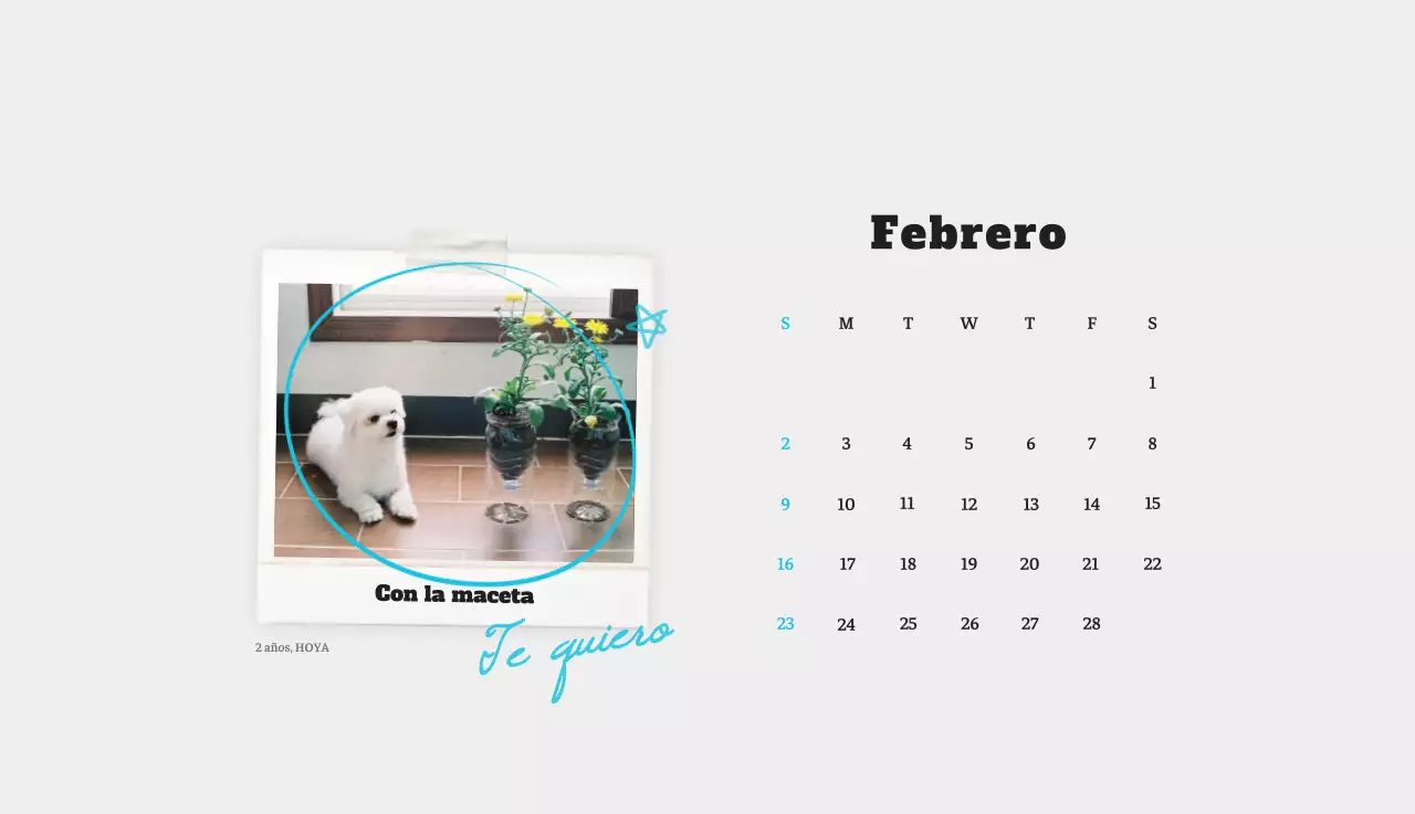 Ballet Blanco Neat Animal Foto Calendario