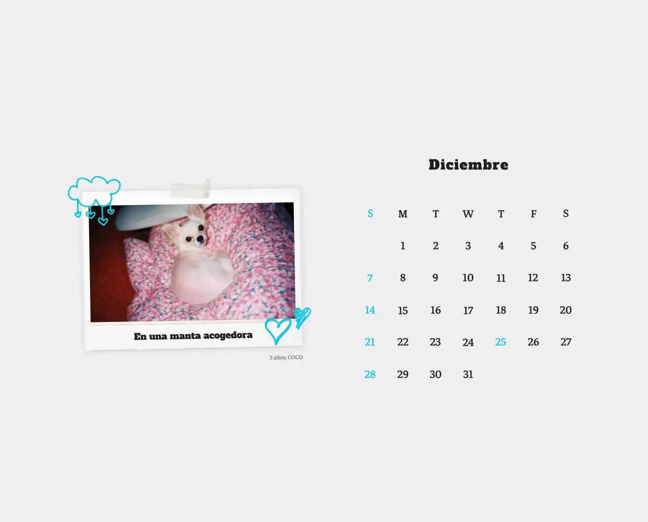 Ballet Blanco Neat Animal Foto Calendario