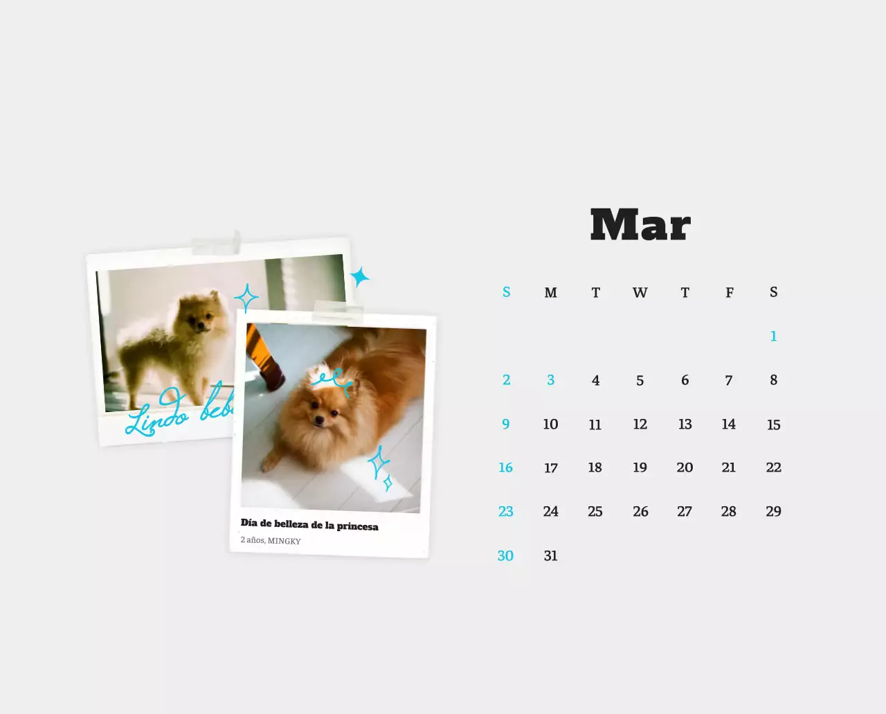 Ballet Blanco Neat Animal Foto Calendario