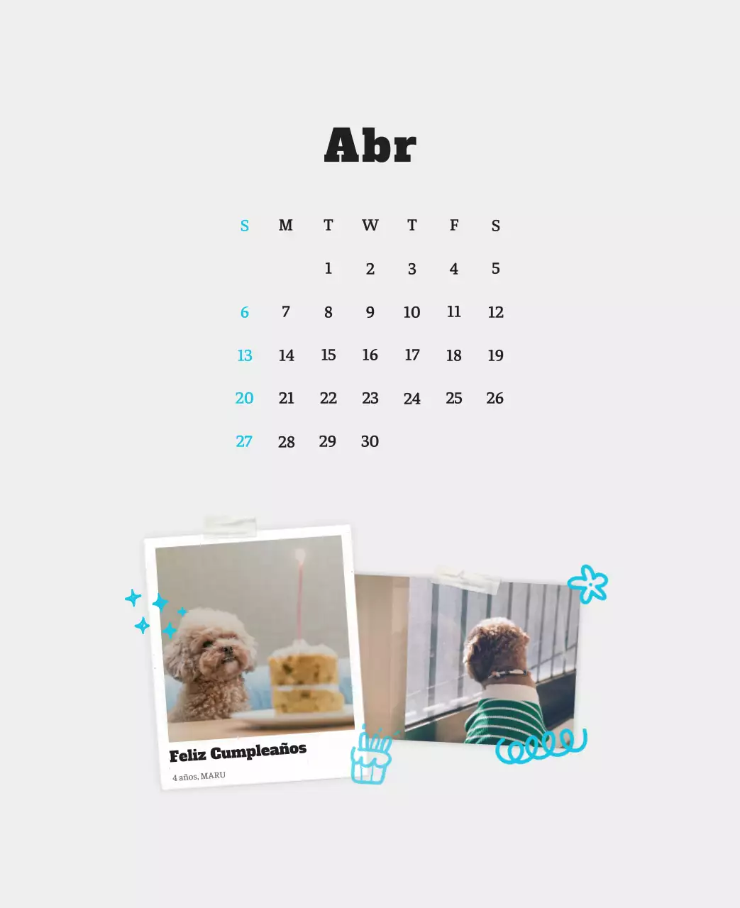 Ballet Blanco Neat Animal Foto Calendario