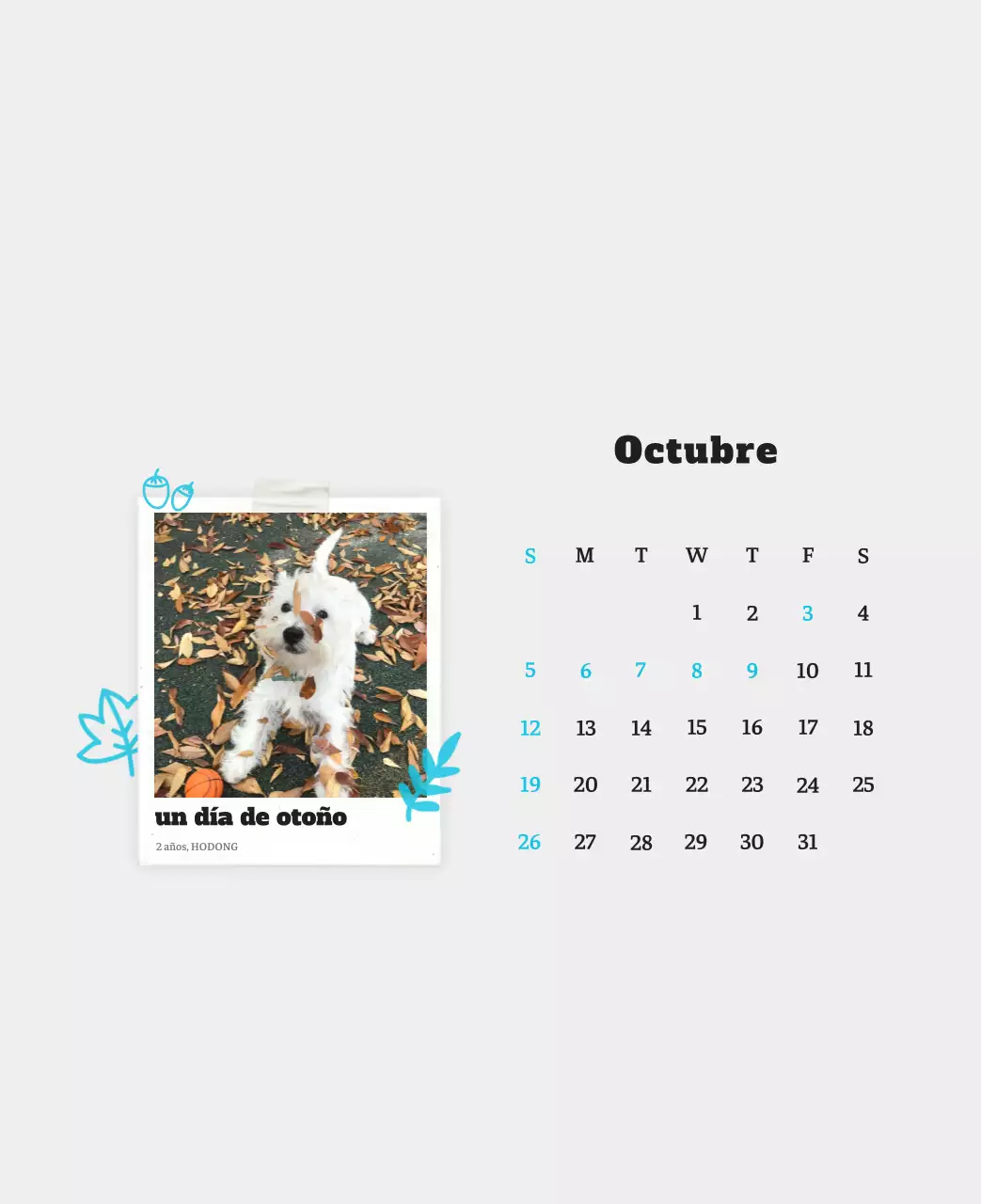Ballet Blanco Neat Animal Foto Calendario