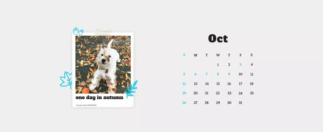 White neat pet photo calendar