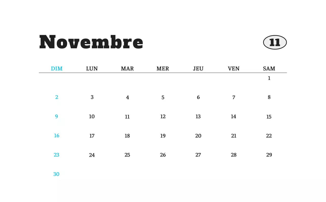 Calendrier photo blanc Neat Ballet Animal