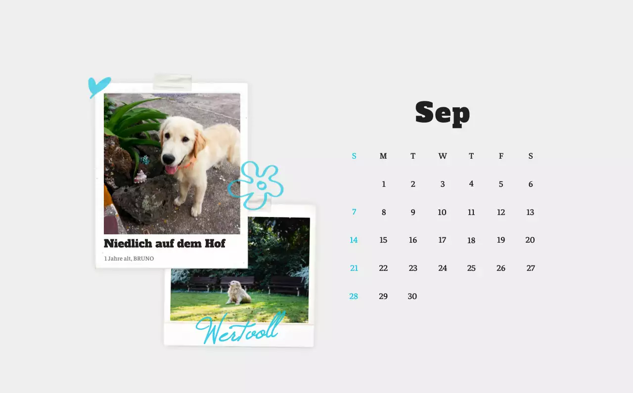 Weißer Neat Ballet-Tier-Fotokalender