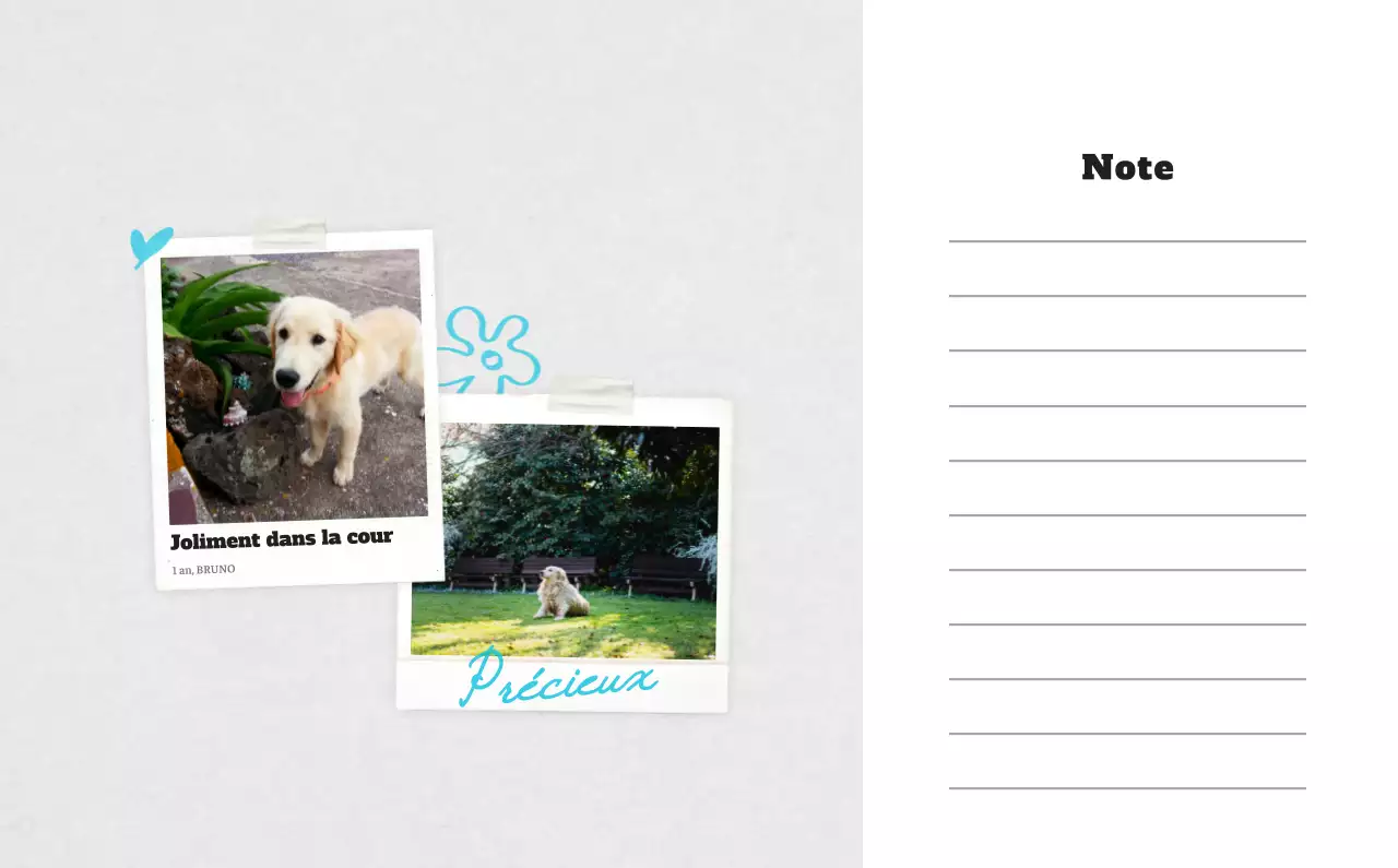 Calendrier photo blanc Neat Ballet Animal