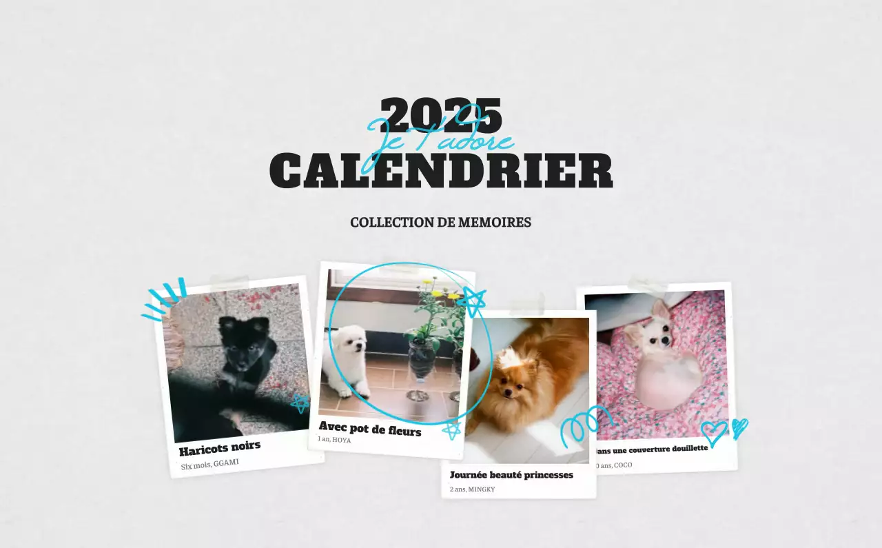 Calendrier photo blanc Neat Ballet Animal