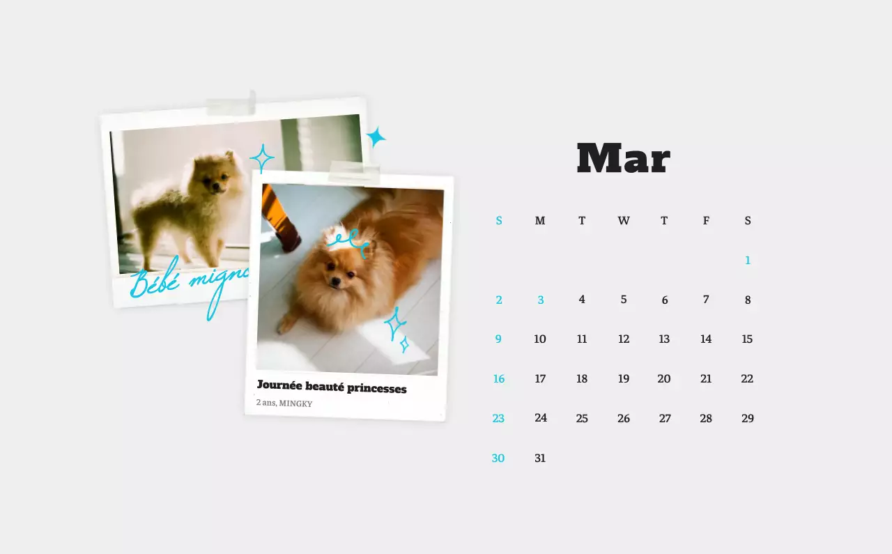 Calendrier photo blanc Neat Ballet Animal