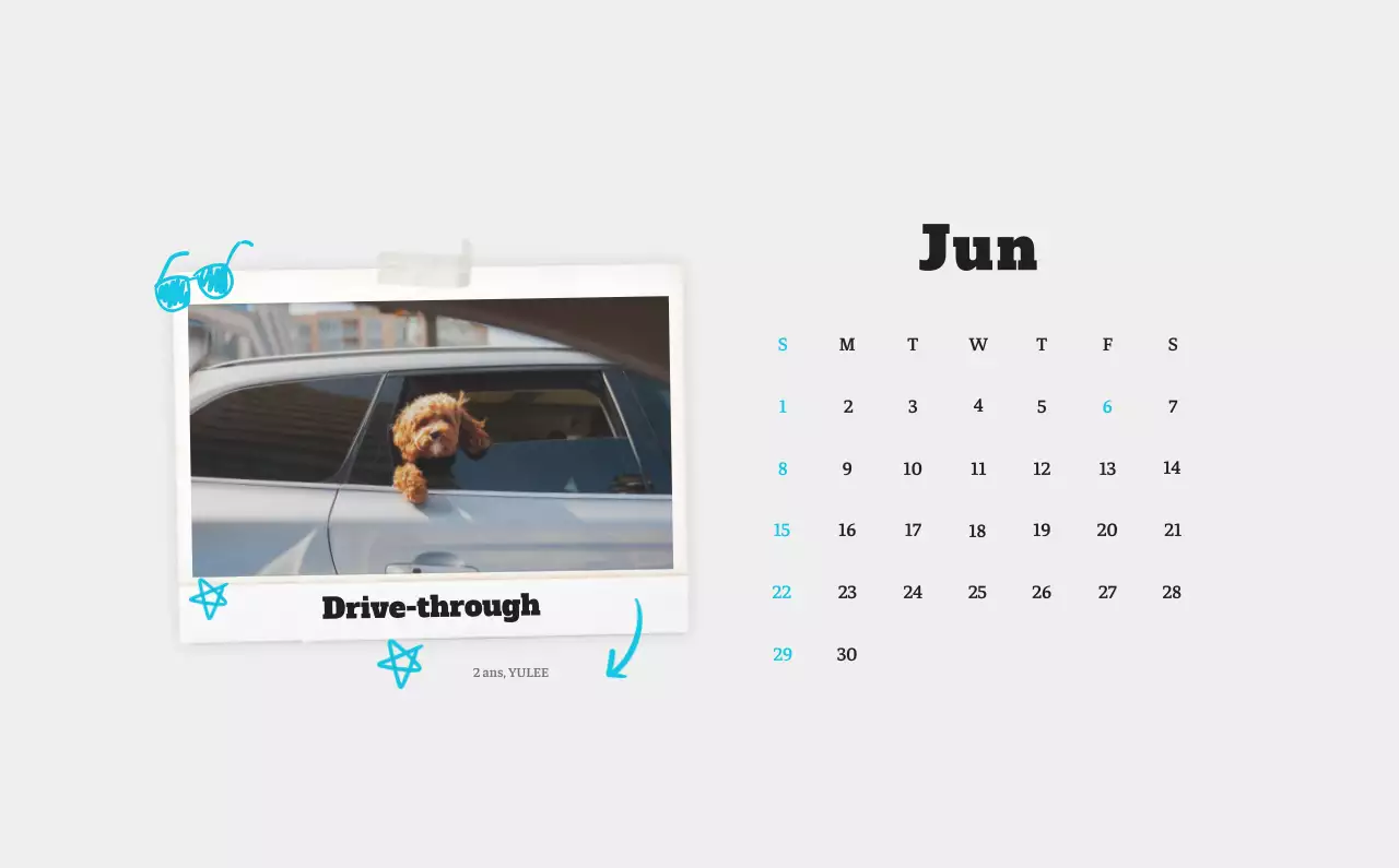 Calendrier photo blanc Neat Ballet Animal