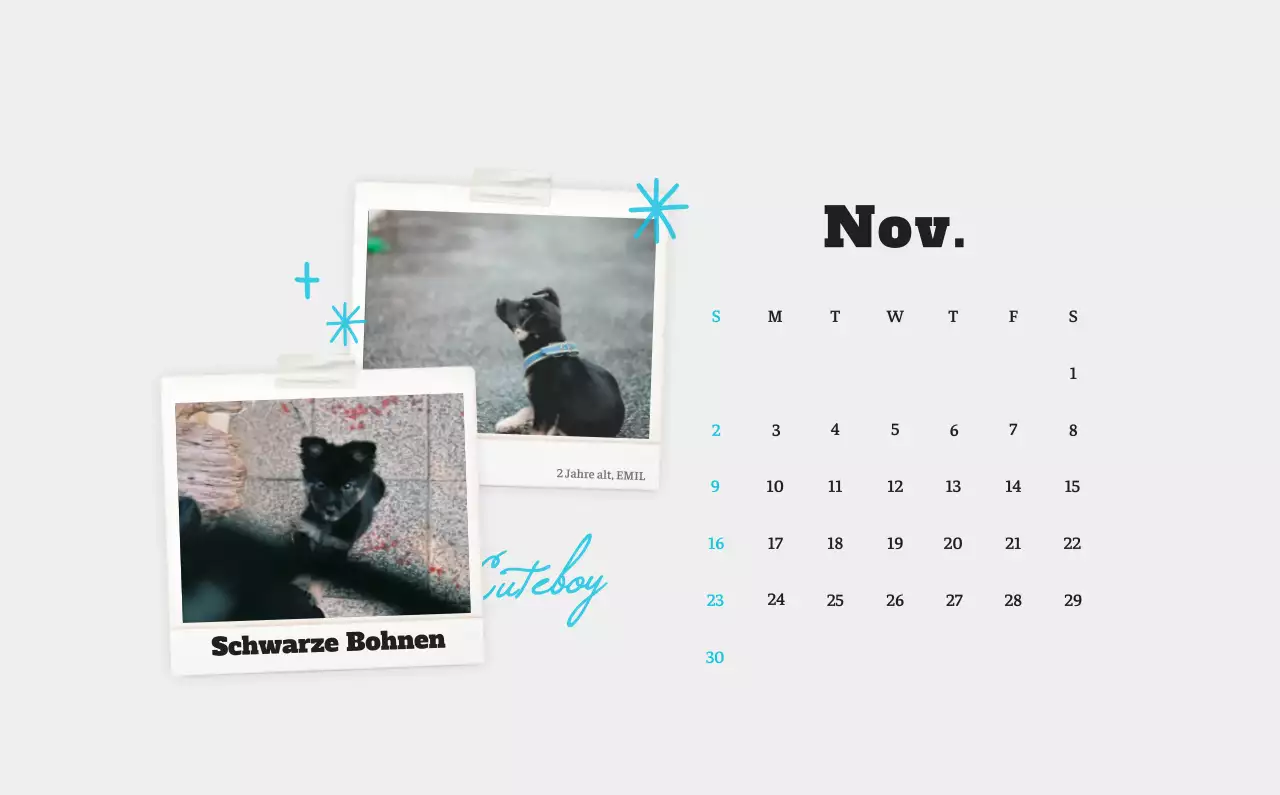 Weißer Neat Ballet-Tier-Fotokalender