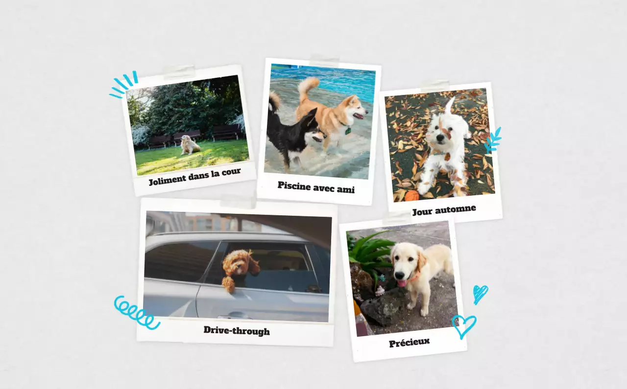 Calendrier photo blanc Neat Ballet Animal