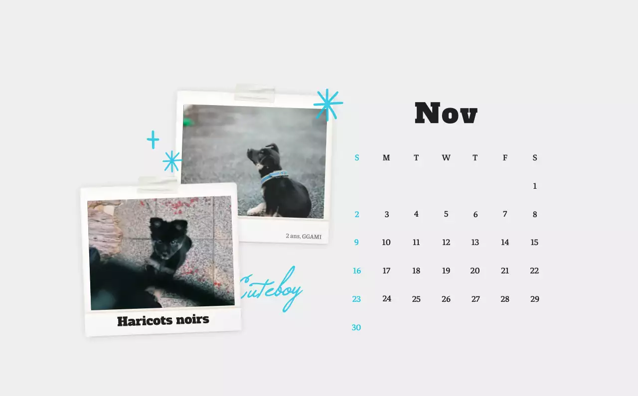 Calendrier photo blanc Neat Ballet Animal