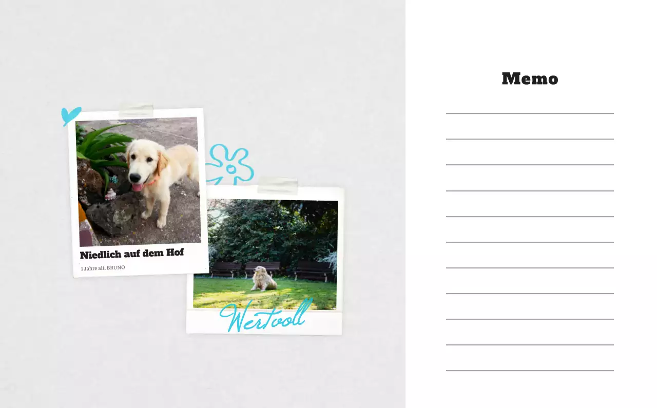 Weißer Neat Ballet-Tier-Fotokalender