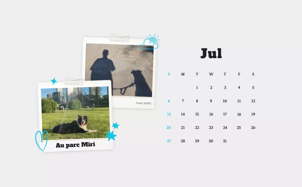 Calendrier photo blanc Neat Ballet Animal