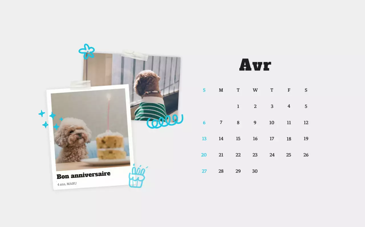 Calendrier photo blanc Neat Ballet Animal