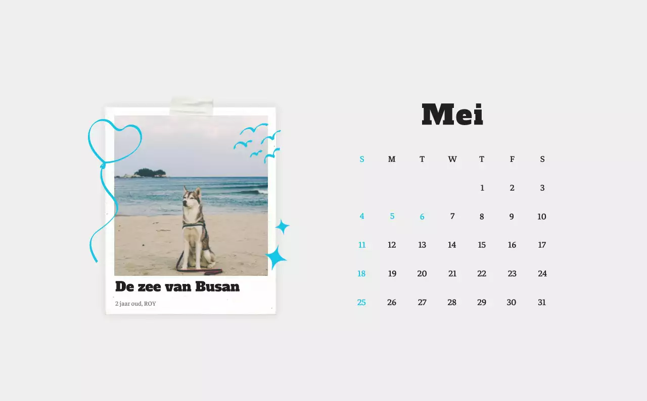 Witte Nette Ballet Dierenfotokalender