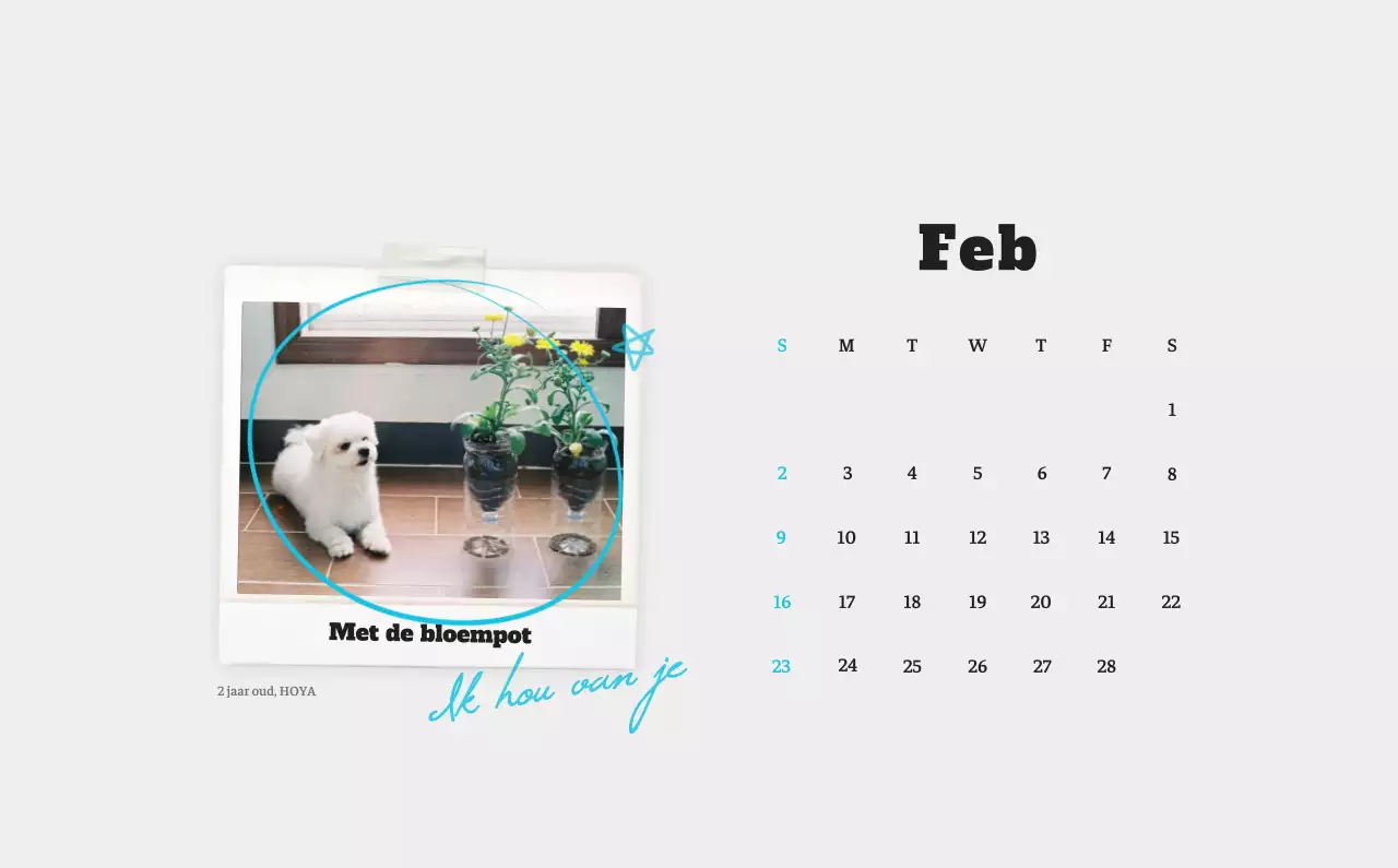 Witte Nette Ballet Dierenfotokalender
