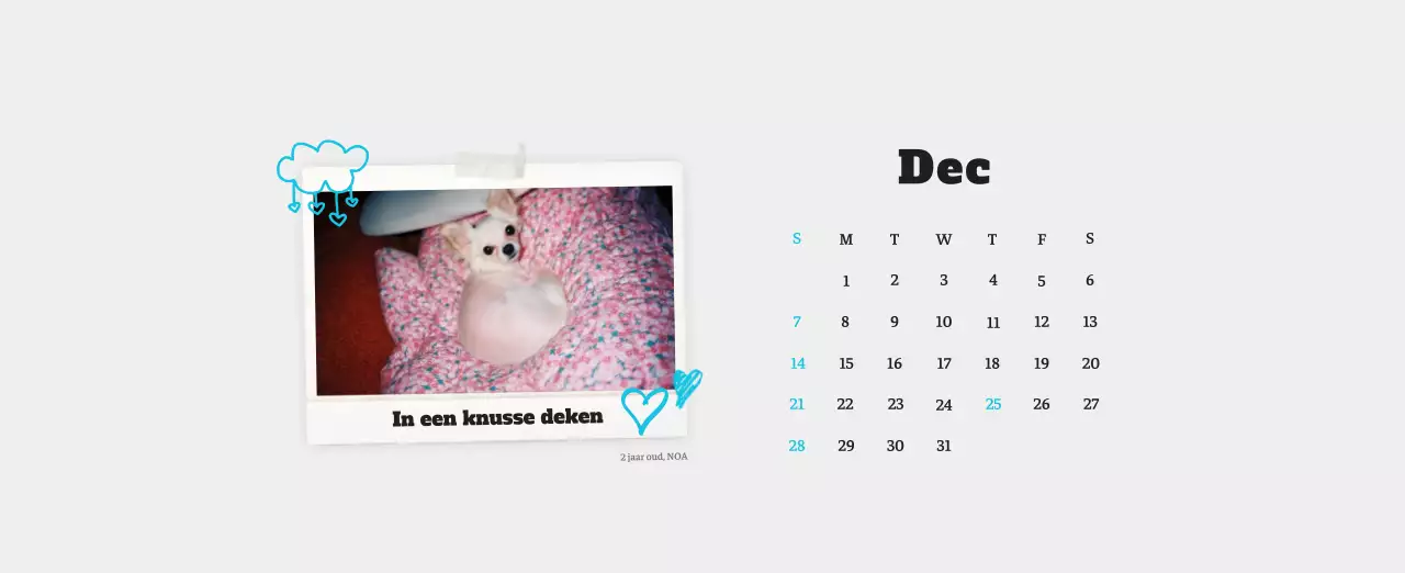 Witte Nette Ballet Dierenfotokalender