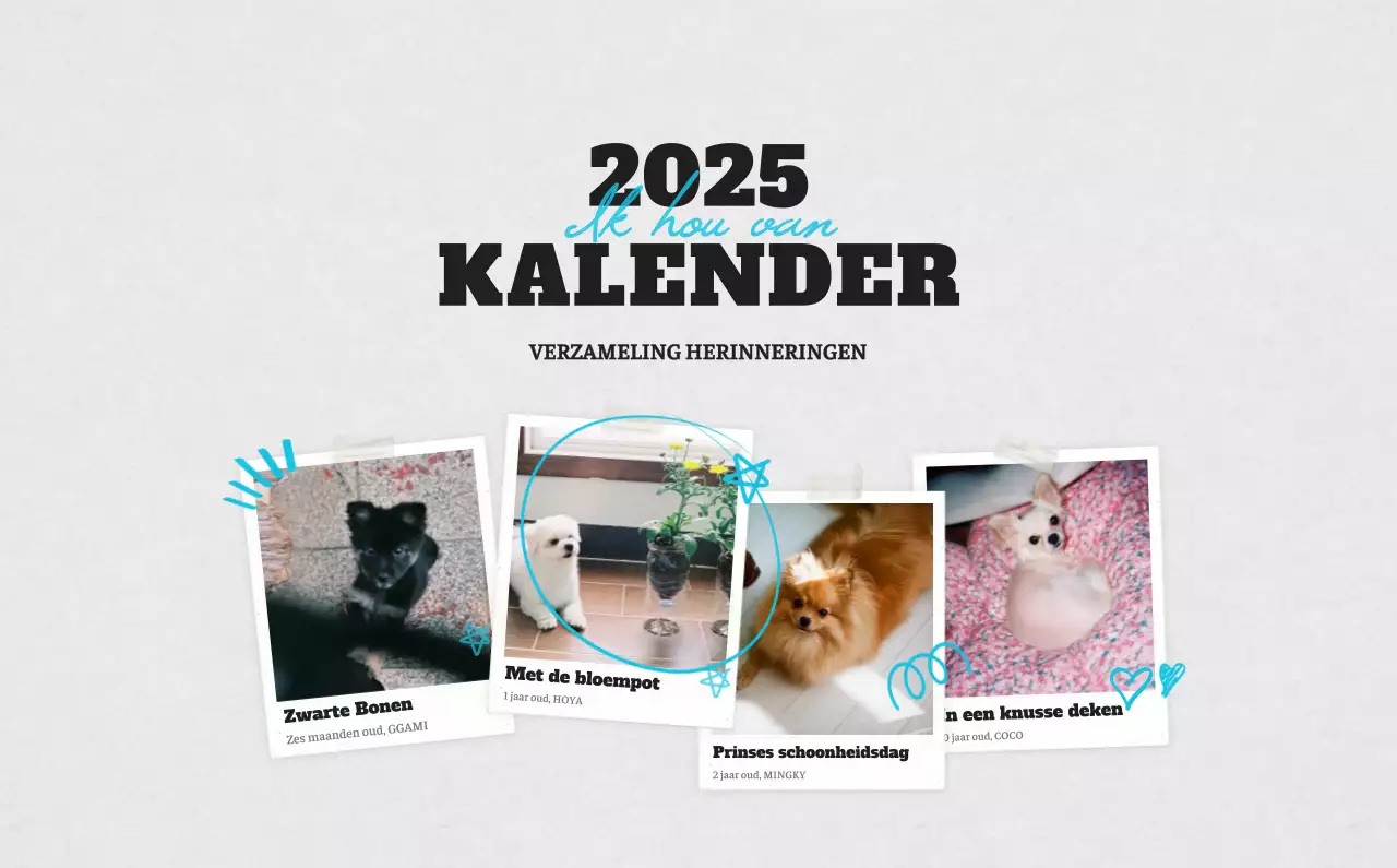 Witte Nette Ballet Dierenfotokalender