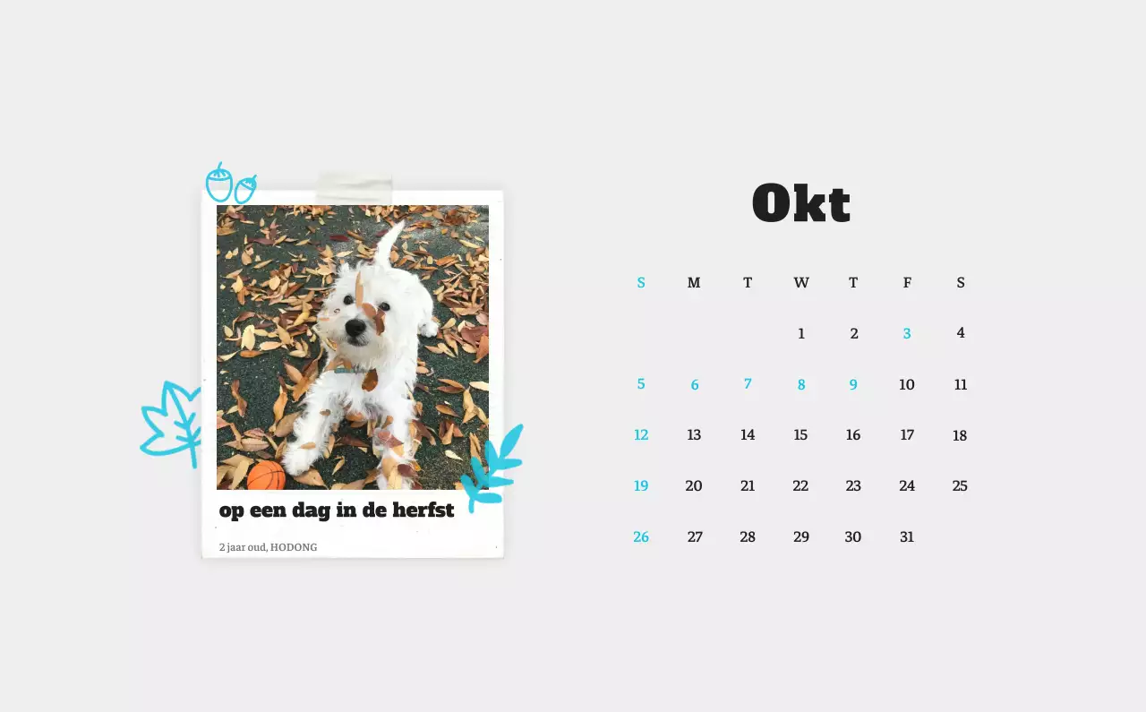 Witte Nette Ballet Dierenfotokalender
