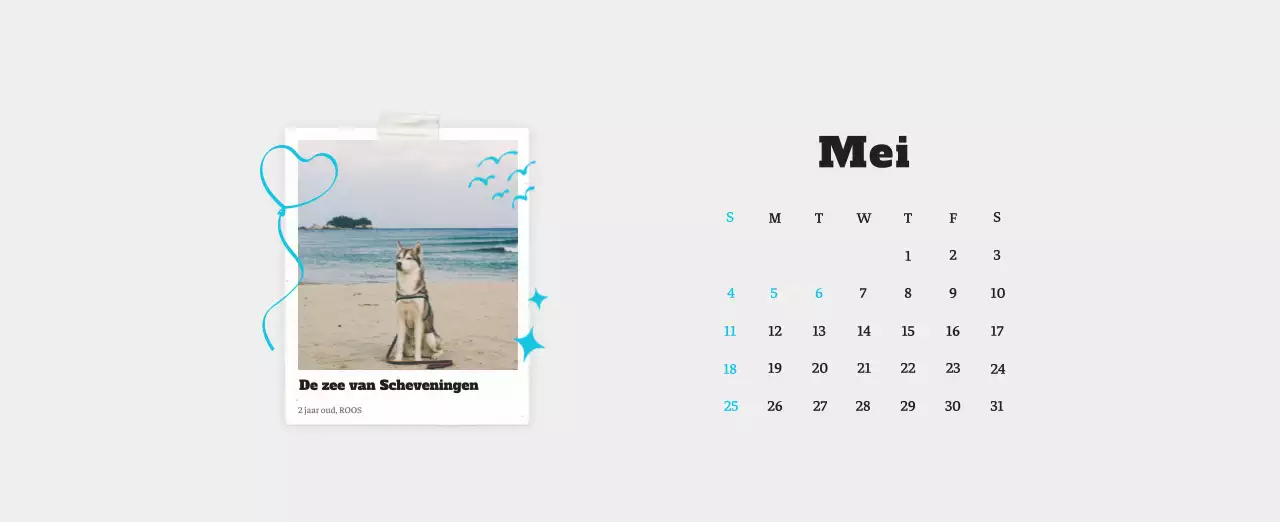 Witte Nette Ballet Dierenfotokalender