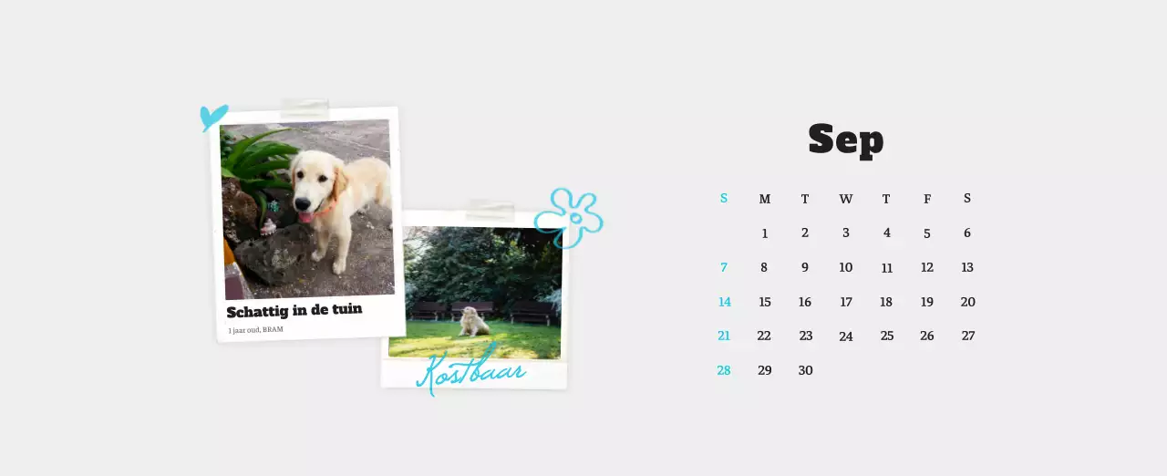 Witte Nette Ballet Dierenfotokalender