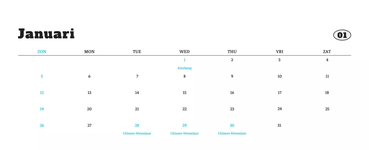 Witte Nette Ballet Dierenfotokalender