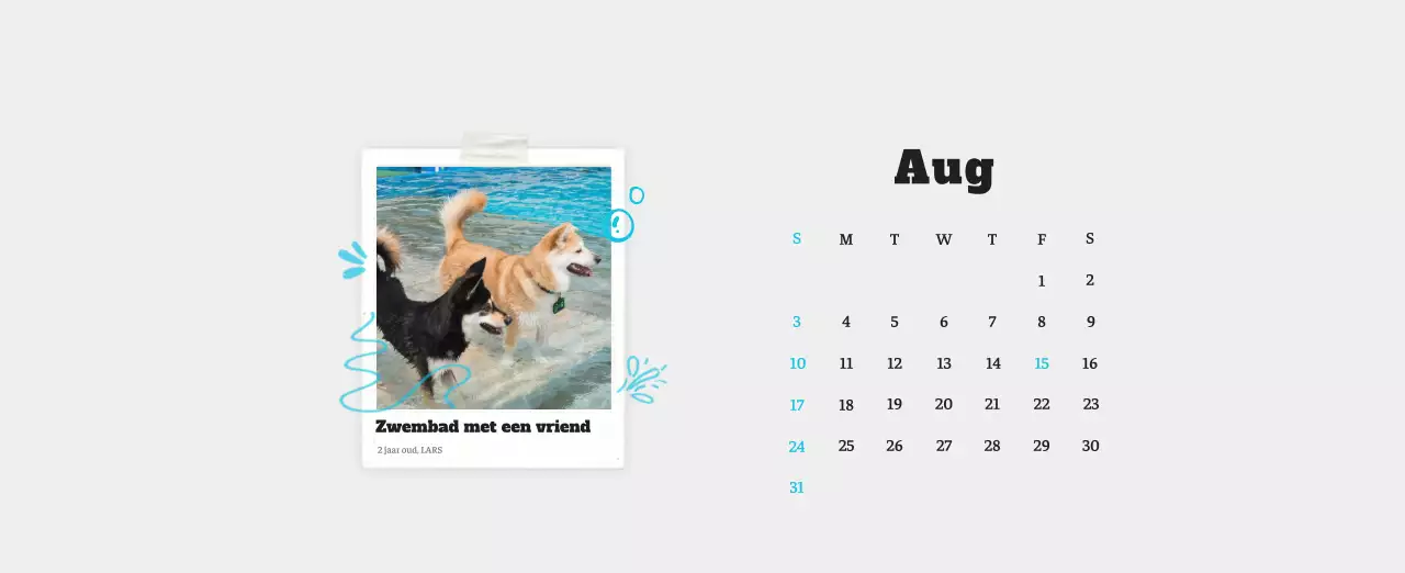 Witte Nette Ballet Dierenfotokalender