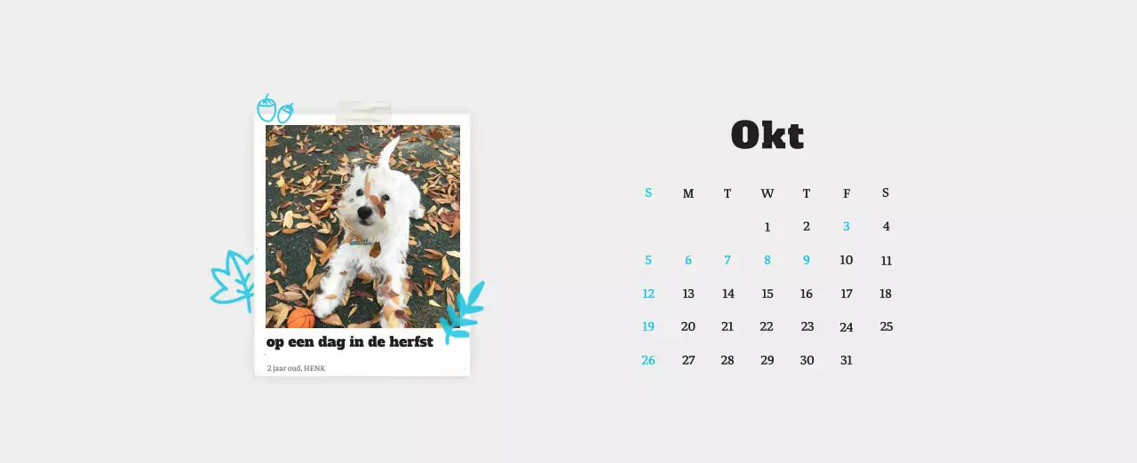 Witte Nette Ballet Dierenfotokalender