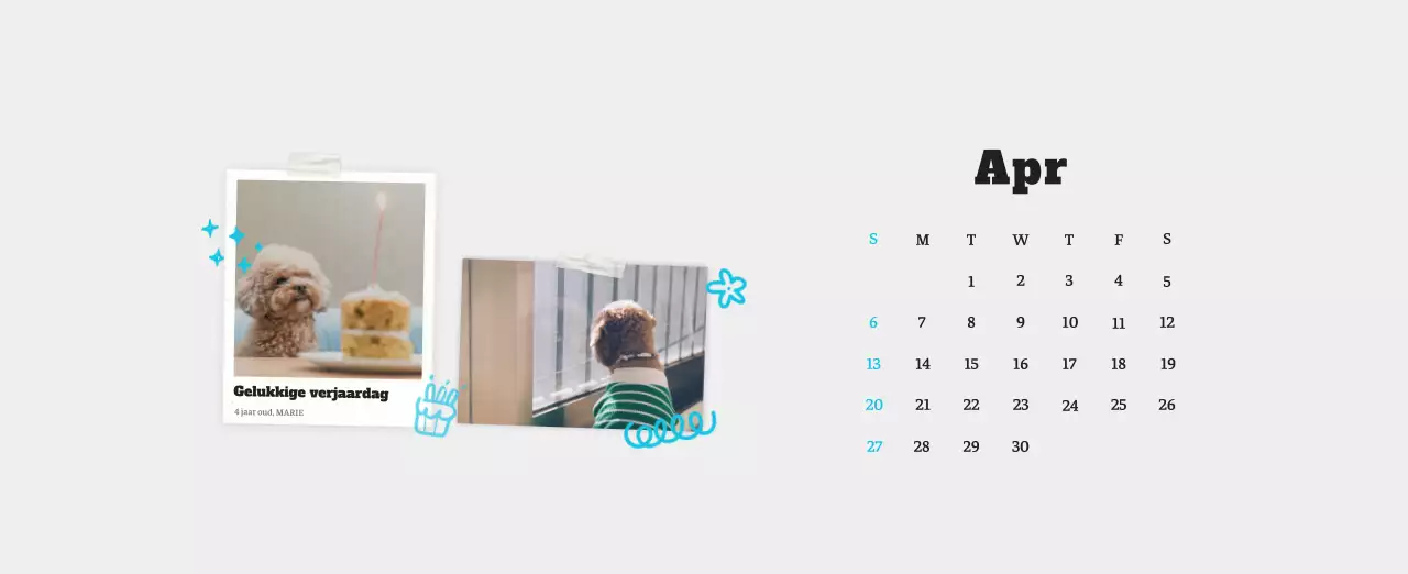 Witte Nette Ballet Dierenfotokalender