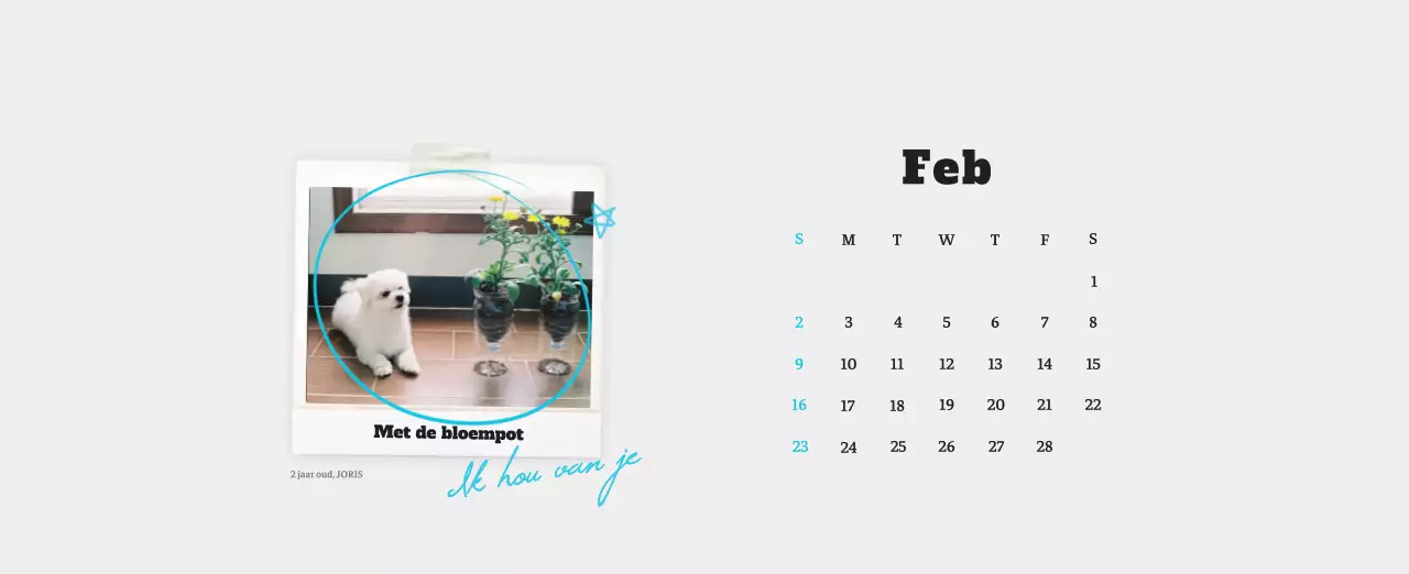 Witte Nette Ballet Dierenfotokalender