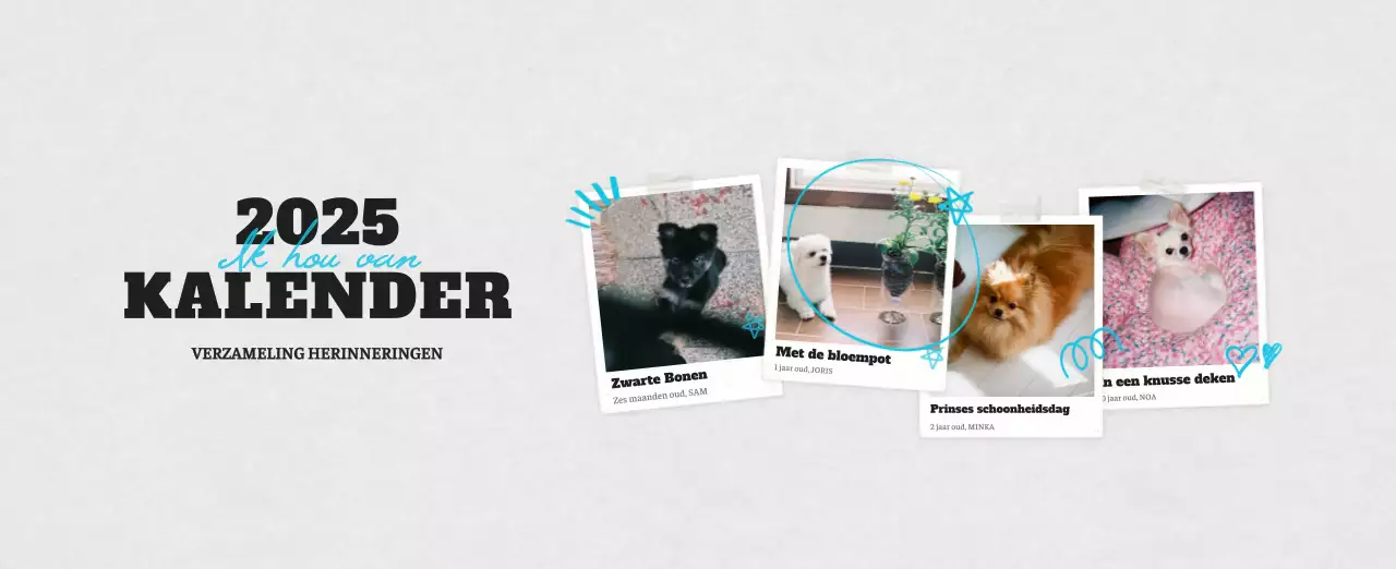 Witte Nette Ballet Dierenfotokalender