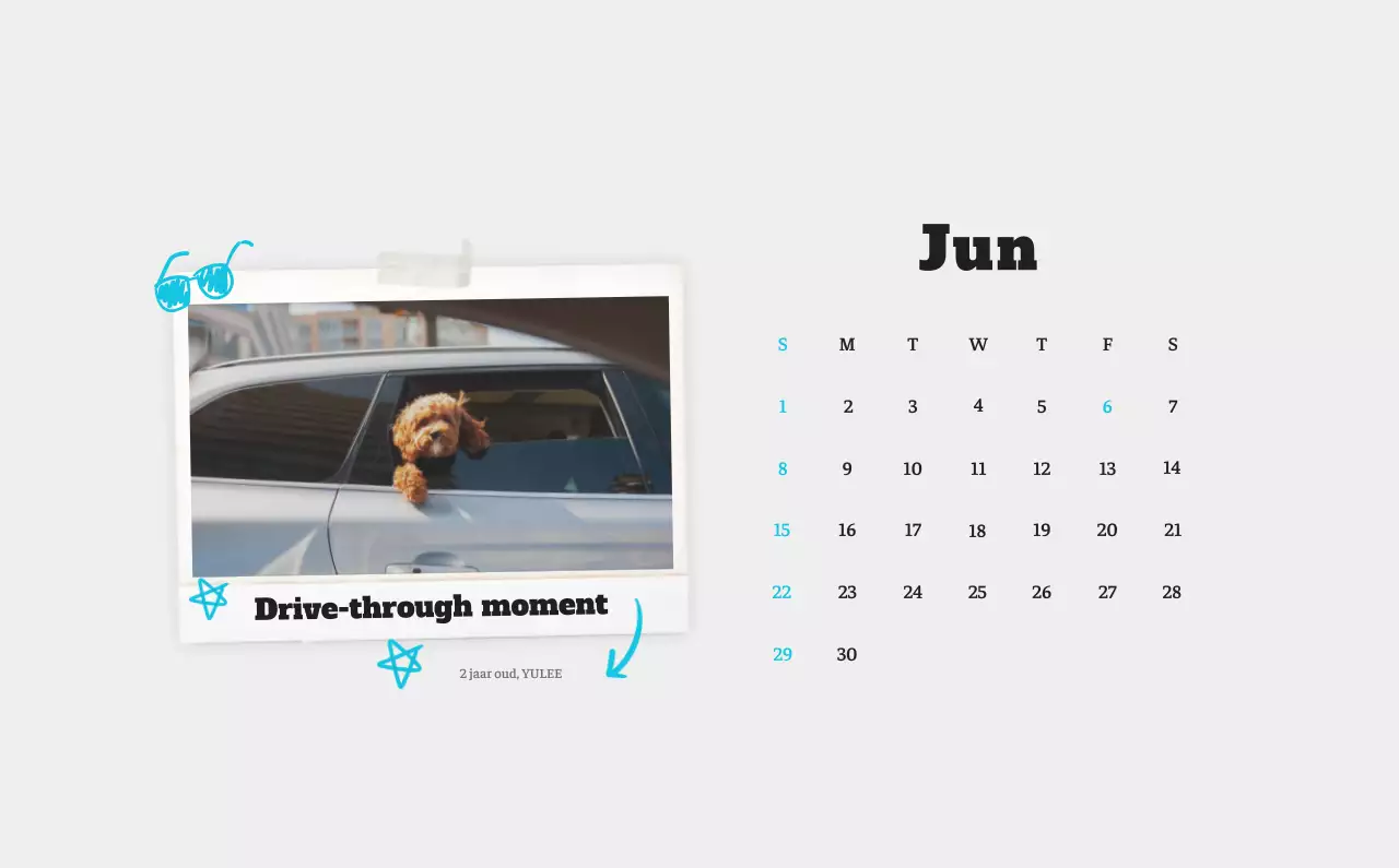 Witte Nette Ballet Dierenfotokalender